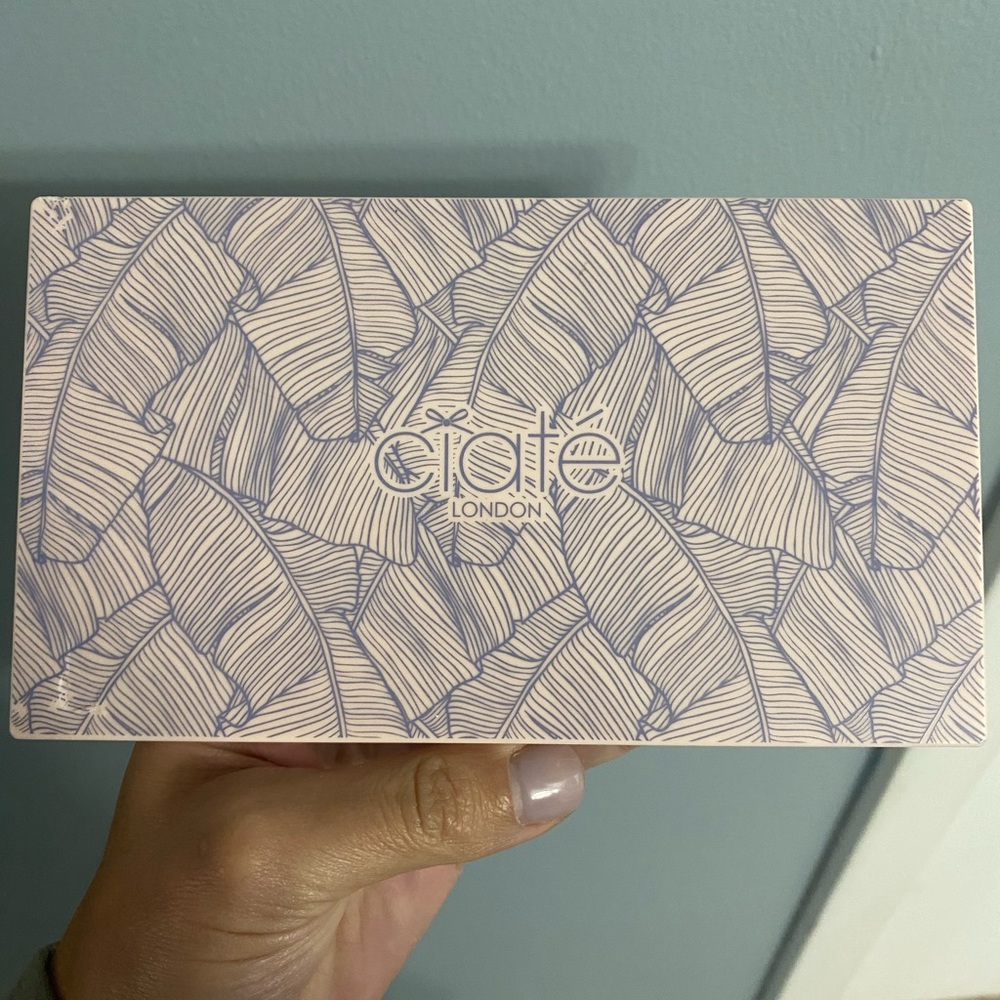 CIATE Editor Palette